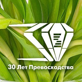 Zepter International | Благовещенск, ул. 50 лет Октября, 15, Благовещенск